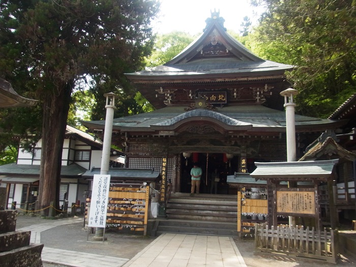 北向観音の境内にある夫婦杉